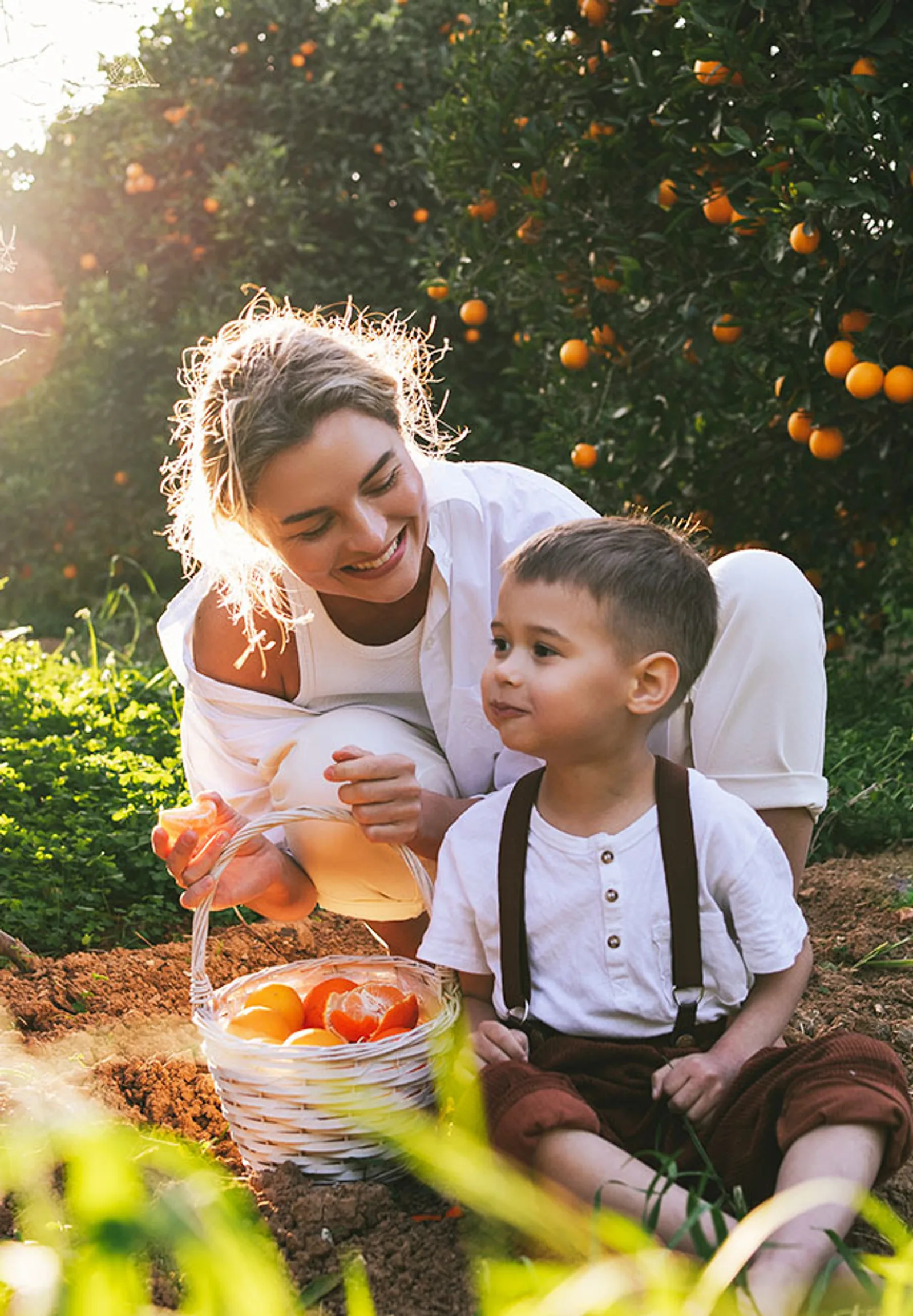 ALEC Promotional Rates ALEC alec-promotional-rates-alec